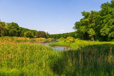 Goluchow, Büyük Polonya 'daki şatonun etrafındaki parkta..