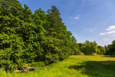 Büyük Polonya, Goluchow 'daki şatonun etrafına park et..