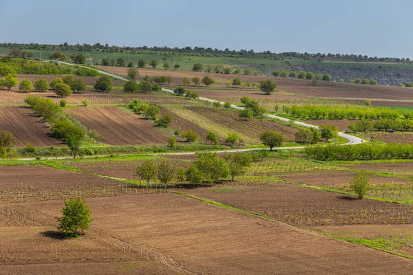 Ackerland Und Wiesen Der Moldawischen Landschaft Frühlingszeit Republik Moldau — Stockfoto