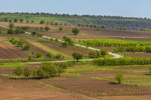 Ackerland Und Wiesen Der Moldawischen Landschaft Frühlingszeit Republik Moldau — Stockfoto