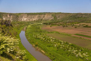 Trebujeni 'deki Reut Nehri Vadisi manzarası, kireçtaşı kayalarının doğal manzarası. Moldova Cumhuriyeti.