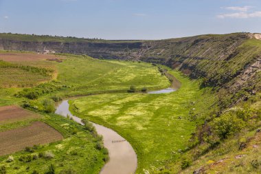 Trebujeni 'deki Reut Nehri Vadisi manzarası, kireçtaşı kayalarının doğal manzarası. Moldova Cumhuriyeti.