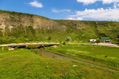 Trebujeni 'deki Reut Nehri Vadisi manzarası, kireçtaşı kayalarının doğal manzarası. Moldova Cumhuriyeti.