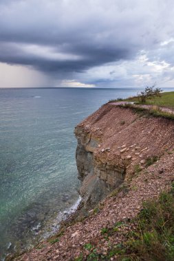 Çam ağaçları ve fırtınalı bulutların altında berrak suyla kayalık sahil kayalığı, Saaremaa, Estonya.