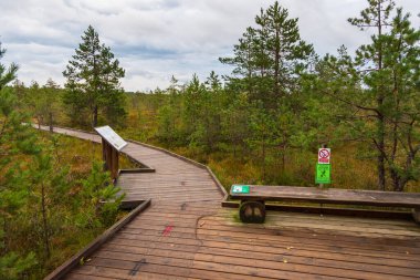 Riisa, Estonya, 26 Ağustos 2021: Soomaa Ulusal Parkı 'ndaki bataklık manzarası boyunca uzanan ahşap kaldırım..