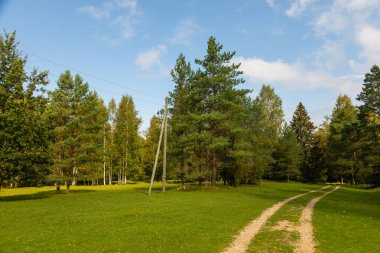 Parçalı bulutlu mavi gökyüzünün altında çam ve huş ağaçları olan yeşil bir çayırdan geçen toprak yol. Estonya.