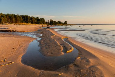 Estonya 'daki Lahemaa Ulusal Parkı' nda gün batımında dağılmış kaya parçalarıyla kumsal. Sakin Baltık Denizi ve ılık akşam ışığı.