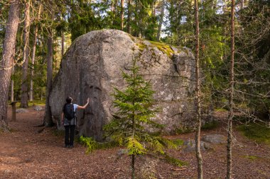 Lahemaa, Estonya - 31 Ağustos 2021: Estonya 'nın kuzeyinde popüler bir yürüyüş noktası olan Lahemaa Ulusal Parkı' nda bir kişi büyük bir buzul kayasını gözlemliyor.