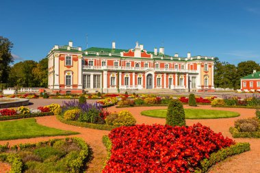 Tallin, Estonya - 02 Eylül 2021: Renkli çiçek yataklarının olduğu resmi bir bahçenin arkasında bir barok sarayı duruyor. Güneş ışığı dekoratif dış görünüşü aydınlatır.