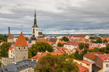 Tallinn 'in eski kasabasının panoramik manzarasında ortaçağ kuleleri, kilise kuleleri ve bulutlu bir gökyüzünün altındaki renkli çatılar görülüyor. Tarihi binaları çevreleyen ağaçlar.