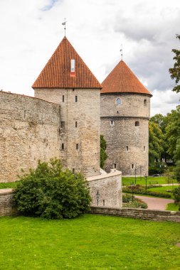 Tallinn, Estonya 'da yeşil park ve tarihi mimariyle çevrili ortaçağ taş kuleleri ve şehir duvarı.