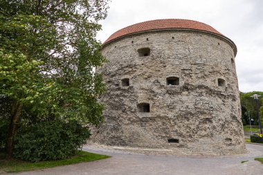 Tarihsel yuvarlak taş kule Tallinn, Estonya 'da ağaçların yanında duruyor..