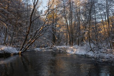Radunia Nehri kuzey Polonya 'da karlı bir ormanın içinden akar. Çıplak ağaçlar ve kış ışığı dolambaçlı kanal boyunca uzanan soğuk suyu yansıtır..