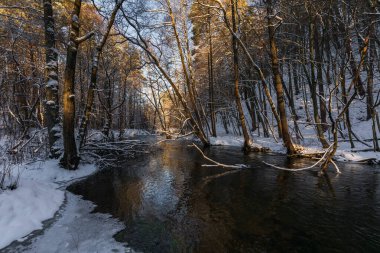 Radunia Nehri kuzey Polonya 'da karlı bir ormanın içinden akar. Çıplak ağaçlar ve kış ışığı dolambaçlı kanal boyunca uzanan soğuk suyu yansıtır..
