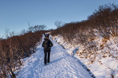 Krysuvik, İzlanda 3 Şubat 2022: Bir grup yürüyüşçü kış günü karla kaplı bir patika boyunca uzak dağlara doğru yürür.
