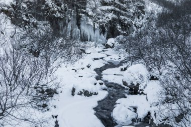 İzlanda 'da karla kaplı kayalıkları ve kış manzarası olan Magnusarfoss şelalesinin donmuş kısımları.