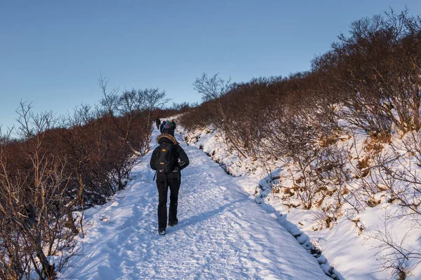 Krysuvik, İzlanda 3 Şubat 2022: Bir grup yürüyüşçü kış günü karla kaplı bir patika boyunca uzak dağlara doğru yürür.