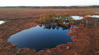 Estonya, Soomaa Ulusal Parkı 'ndaki tahta köprü ile Kuresoo bataklığının insansız hava aracı görüntüleri.