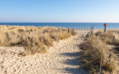 20 Mart 2022 'de Polonya' nın Hel kenti: Kumlu Baltık Denizi kıyı şeridi üzerinde orman ve sahil bölgesi olan çitli bir yol boyunca yürüyen ziyaretçiler.