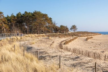 20 Mart 2022 'de Polonya' nın Hel kenti: Kumlu Baltık Denizi kıyı şeridi üzerinde orman ve sahil bölgesi olan çitli bir yol boyunca yürüyen ziyaretçiler.