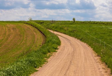Baharda Polonya 'nın Masuria bölgesinde yeşil tarım arazileri ve tarlalar boyunca uzanan virajlı toprak yol.