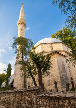 Bosna-Hersek 'in Mostar kentinde mavi gökyüzünün altındaki ağaçlarla çevrili uzun minareli tarihi taş camii.