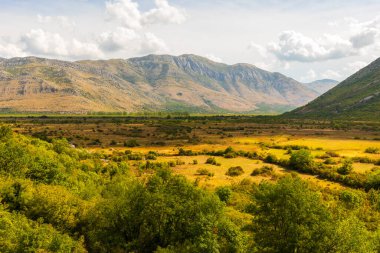 Geniş Zavala vadisine bakan altın tarlaları ve yemyeşil çalıları, Bosna-Hersek 'in bulutlu gökyüzünün altında dramatik bir dağ silsilesiyle çevrili..