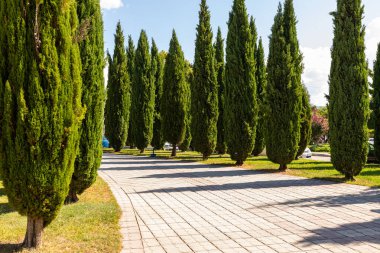 Hercegovacka Gracanica, Bosna ve Hercegovina 21 Ağustos 2022 Yaldızlı ikonlar ve tarihi kilisenin mermer zeminine oyulmuş ahşap Ortodoks simgesi.