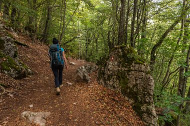 Lukomir, Bosna ve Hercegovina - 23 Ağustos 2022: Sırt çantalı kadın bir dağ manzarasında kırsal alanda altın çimler arasında yürüyüş yapıyor.
