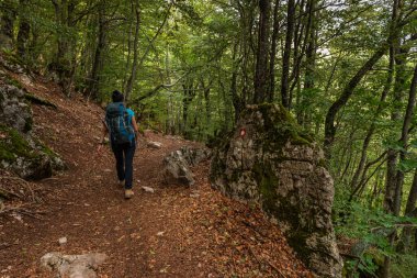 Lukomir, Bosna ve Hercegovina - 23 Ağustos 2022: Sırt çantalı kadın bir dağ manzarasında kırsal alanda altın çimler arasında yürüyüş yapıyor.