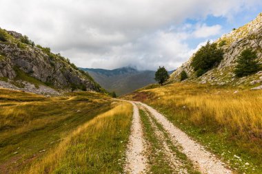 Bosna-Hersek, Bosna-Hersek Federasyonu 'nun Lukomir kentindeki bir dağ vadisi ve otlaktan geçen toprak yol.