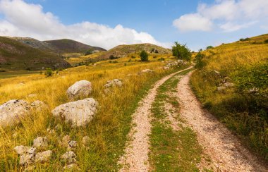 Bosna-Hersek 'in Trnovo bölgesinde güneşli bir günde altın çim tarlaları ve tepelerden geçen toprak yol.