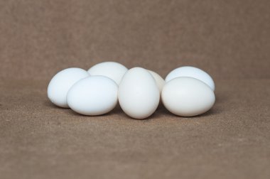 Masanın üzerine taze yumurta