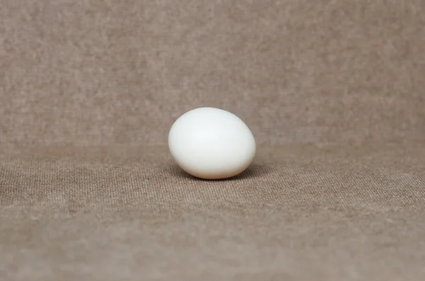 Fresh egg on the table — Stock Photo, Image