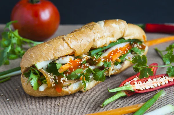 В'єтнамська-знаменитий сендвіч Стокове Зображення