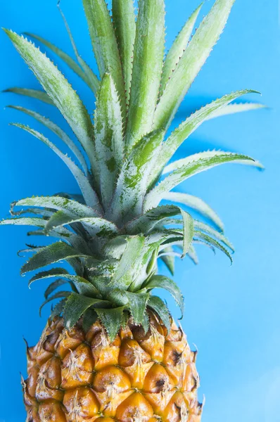 Piña orgánica fresca — Foto de Stock