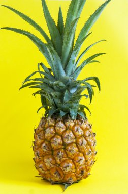 organik taze ananas 