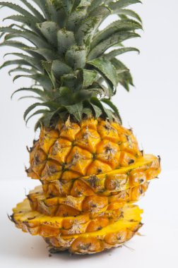 organik taze ananas 