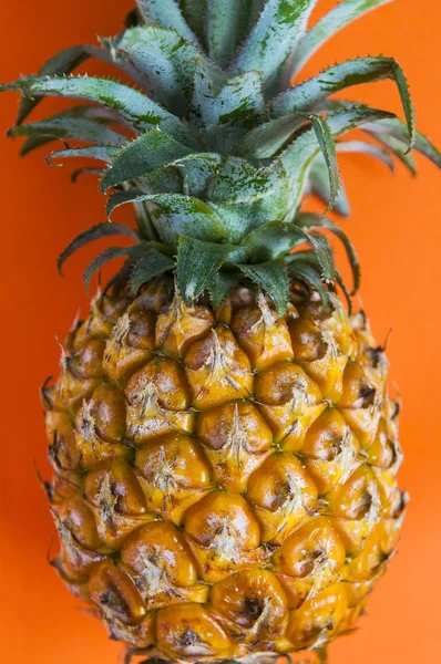 Piña orgánica fresca — Foto de Stock