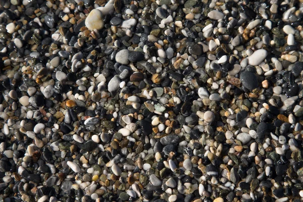 Sfondo di ciottoli naturali su una costa di mare. Focus selettivo — Foto Stock