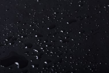 Bir renk arka plan üzerinde Su damlacıkları. Siyah. Fi sığ derinliği