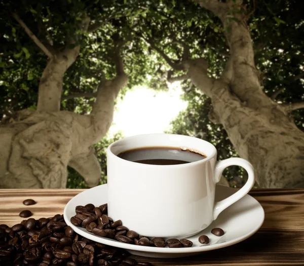 Granos de café y café en taza blanca en la mesa de madera frente a un — Foto de Stock