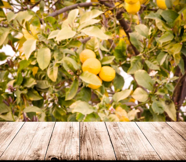 Лимонное дерево над старым светлым деревянным столом или доской. Коллаж. Выберите — стоковое фото