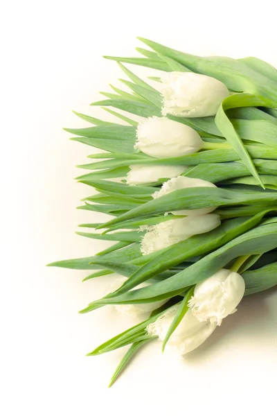 Bunch of spring tulips on the table. Toned — Stock Photo, Image