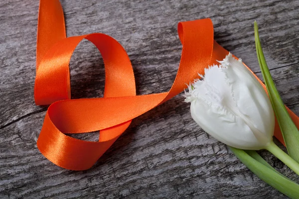 Fresh spring tulip close up with orange ribbon on old gray woode — Stock Photo, Image