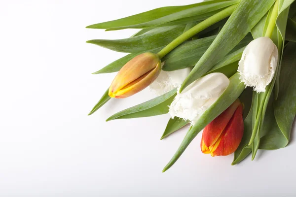 Bunch of spring tulips on the table — Stock Photo, Image