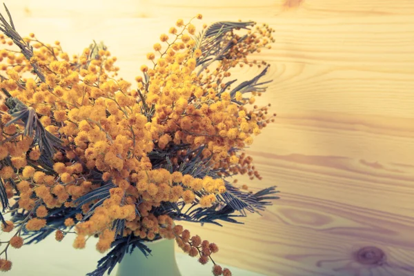 Mimosa fresca primaverile da vicino. Profondità di campo ridotta. Selettivo — Foto Stock