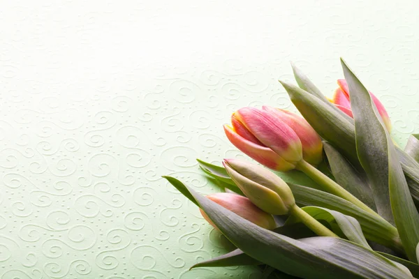 Bunch of spring tulips on the table. Toned — Stock Photo, Image