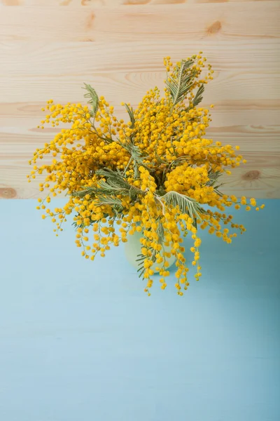 Frische Frühling Mimosen Nahaufnahme von oben — Stockfoto