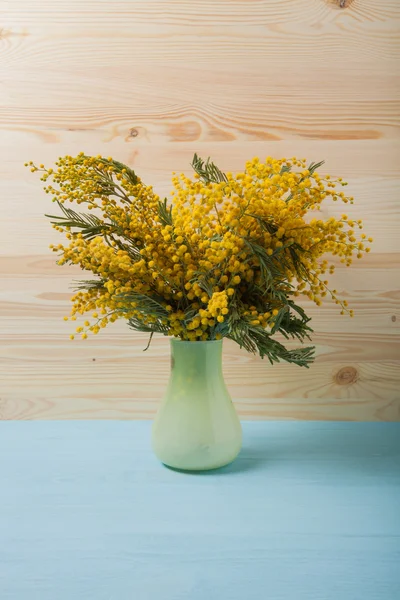 Mimosa fresca primaverile in vaso da vicino — Foto Stock